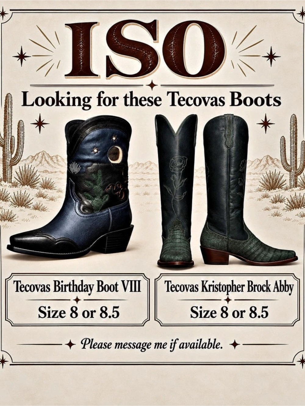 Tecovas In Search Of  Boots